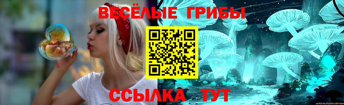 Галлюциногенные грибы мицелий Свободный